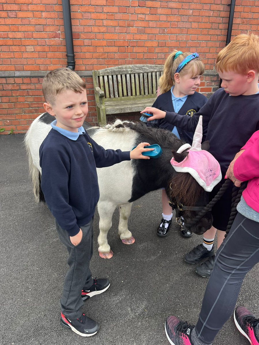 Anne-Marie Jones tweet media