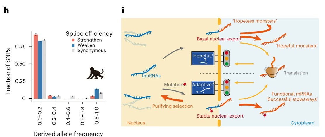 Science Diagrams that Look Like Shitposts tweet media