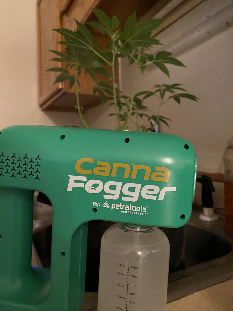 Spa day…… <a href="/petra_grow/">Petra Grow</a>  now taking in the shade for a while…..