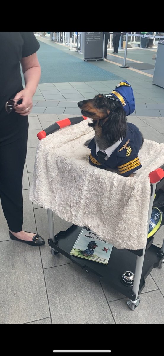 oskouseme's tweet photo. Just touched down in Vancouver and was greeted by cutie pie Captain Freya 🫡 https://t.co/MKBaIWPb1W