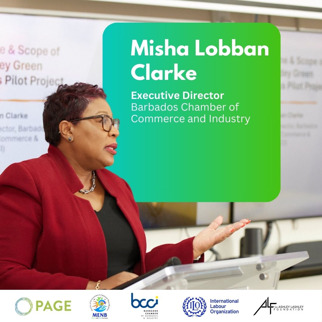 Barbados Chamber of Commerce & Industry tweet media