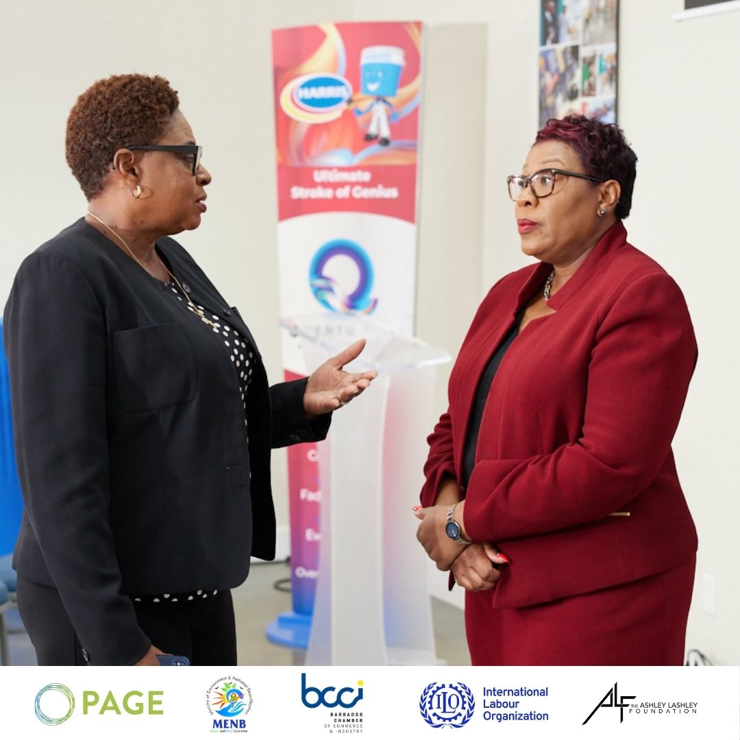 Barbados Chamber of Commerce & Industry tweet media