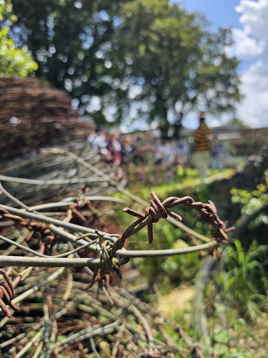 RGSHW History tweet media