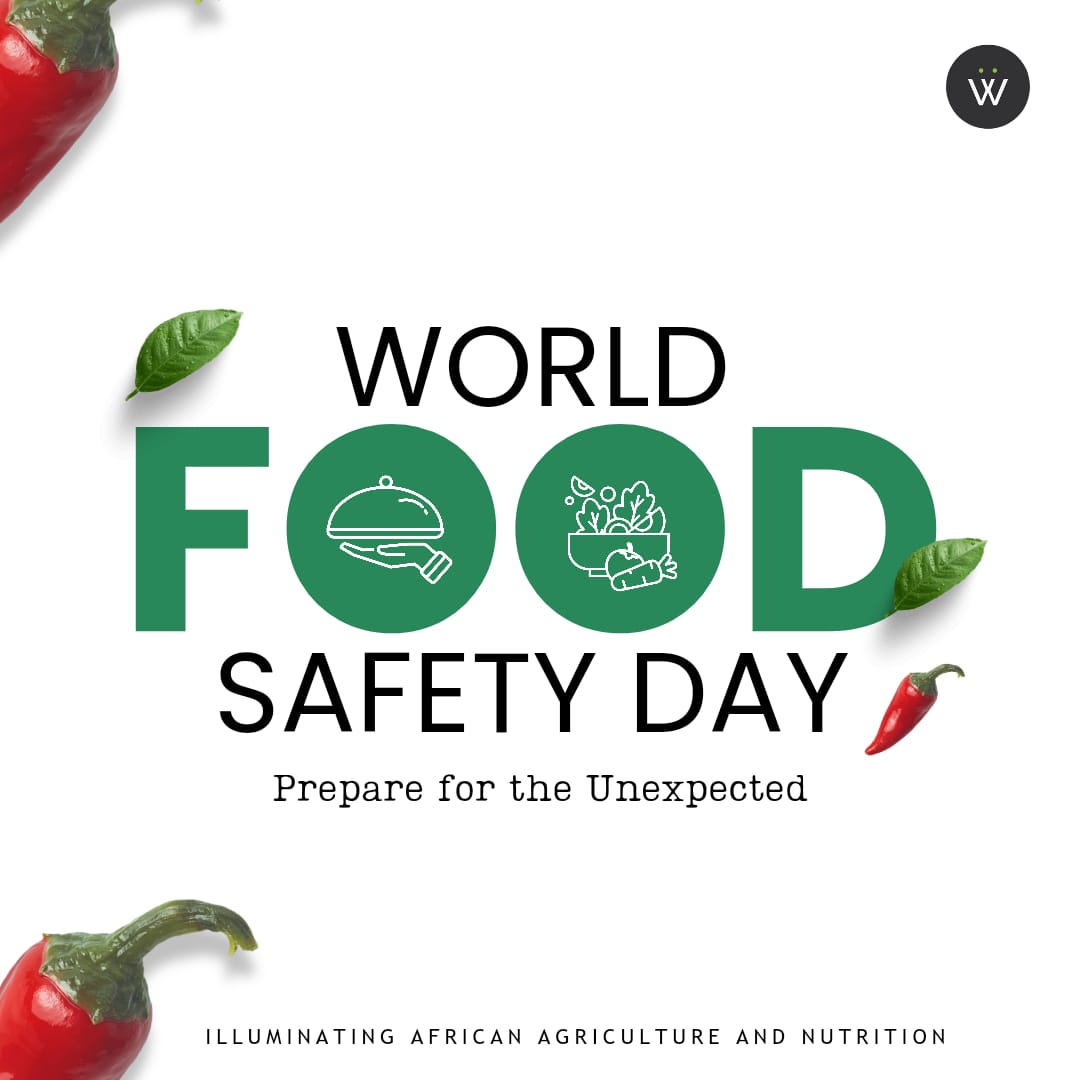 Wandieville's tweet photo. Safe food, healthy life! Let's celebrate #WorldFoodSafetyDay by prioritizing food safety and hygiene practices. 

#Wandieville #WorldFoodSafetyDay #FoodSafetyAwareness 
#FoodHygieneMatters
#HealthyFoodChoices
#FoodSafetyEducation
#FoodSecurity https://t.co/0Ik08e9mXQ