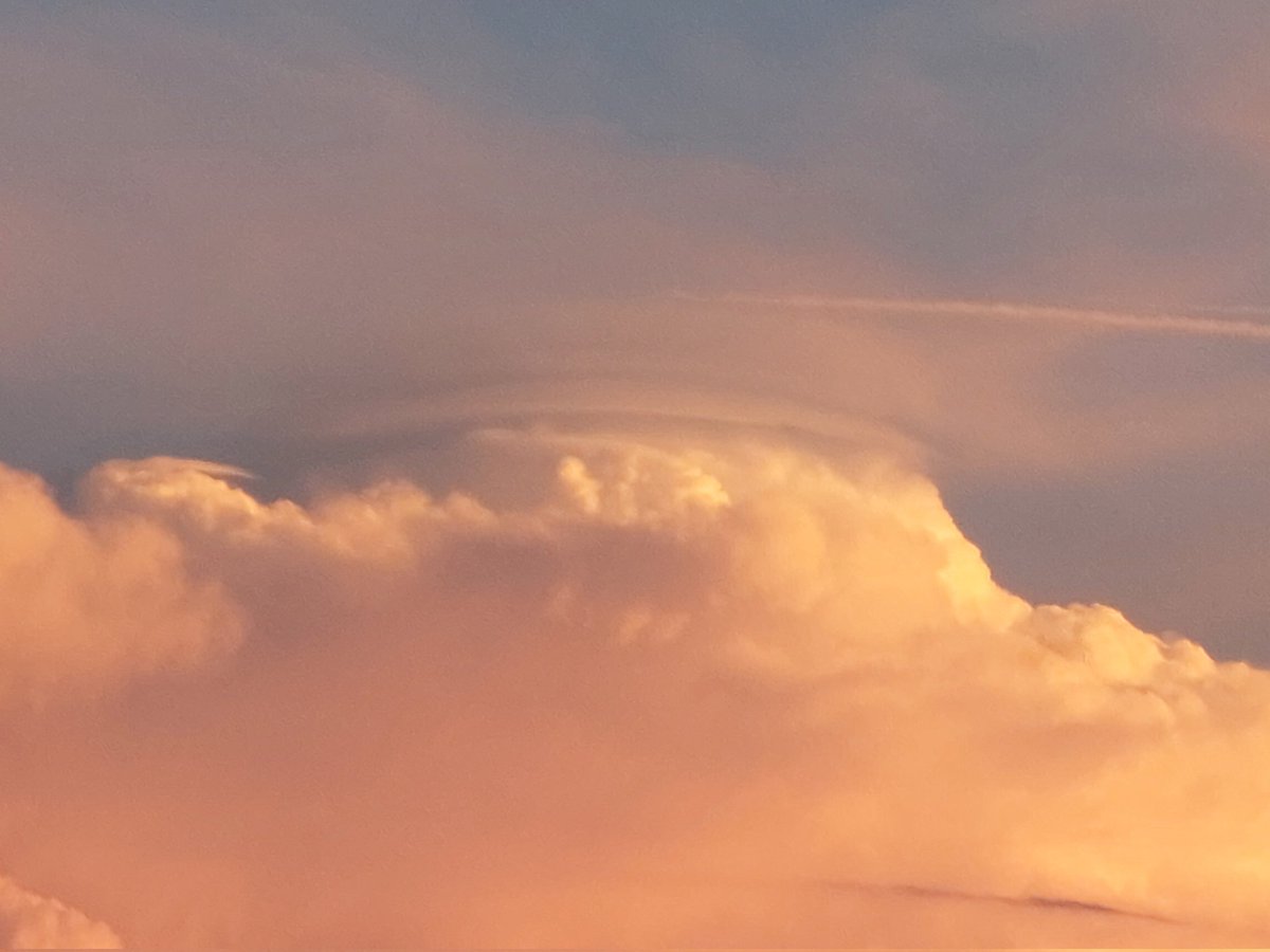 Andrea Borsoi tweet media