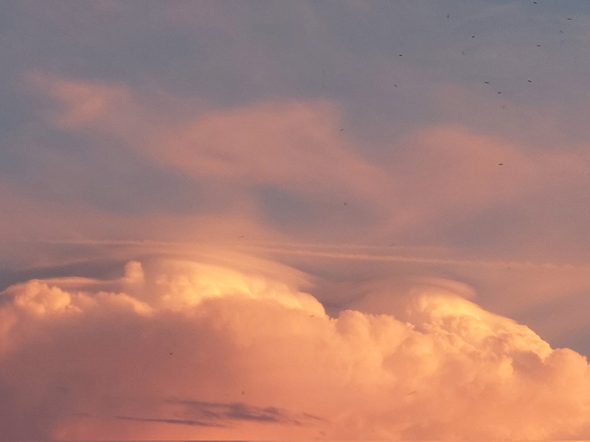 Andrea Borsoi tweet media