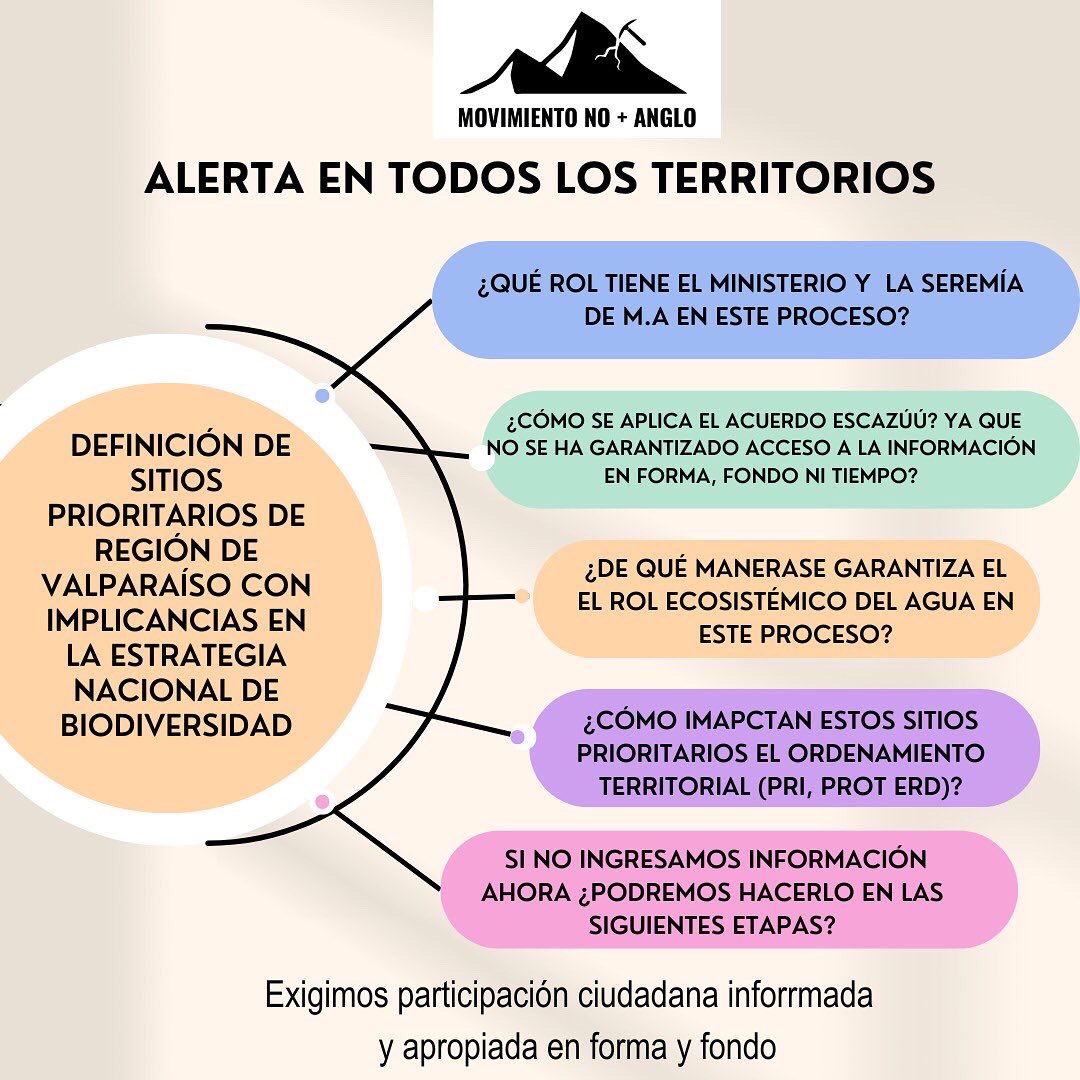 Movimiento No+Anglo tweet media