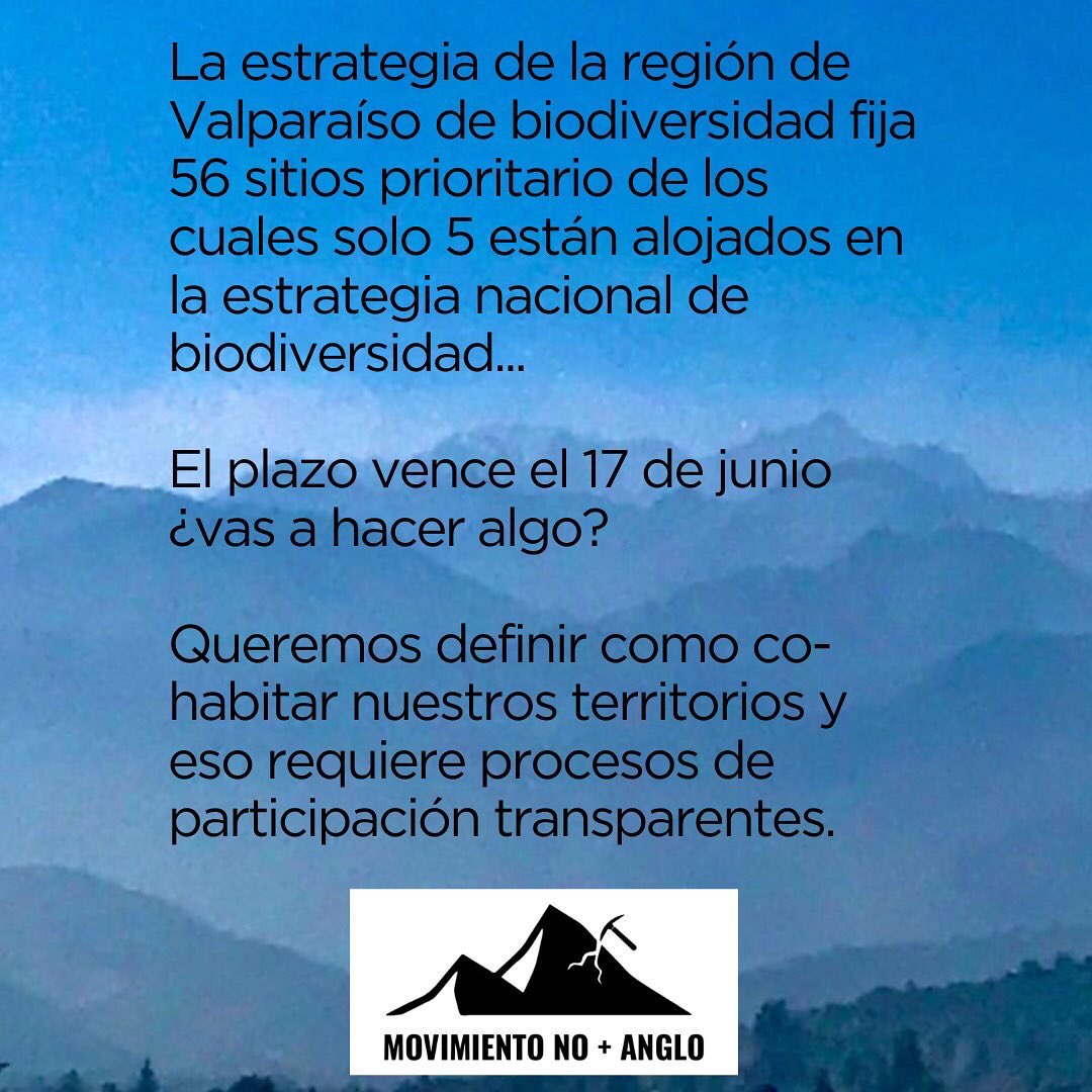 Movimiento No+Anglo tweet media