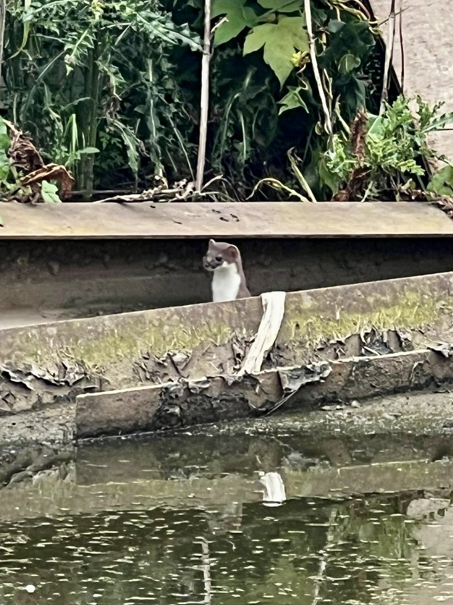 James Morgan tweet media