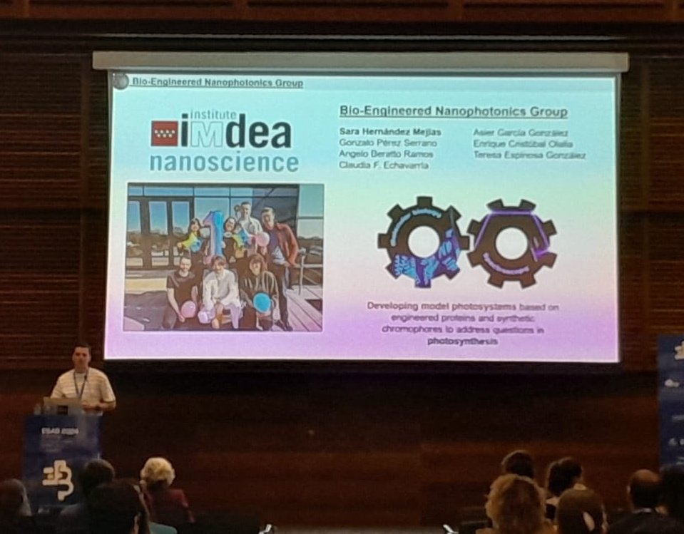 Sara H Mejias tweet media