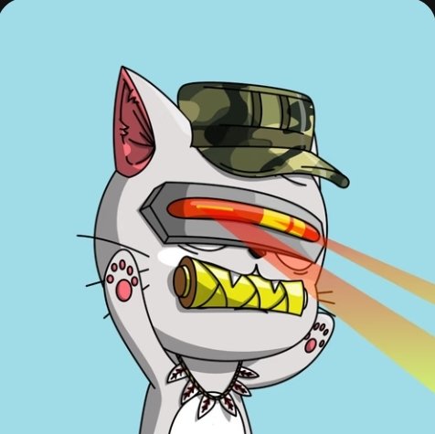 Phat Taco tweet media