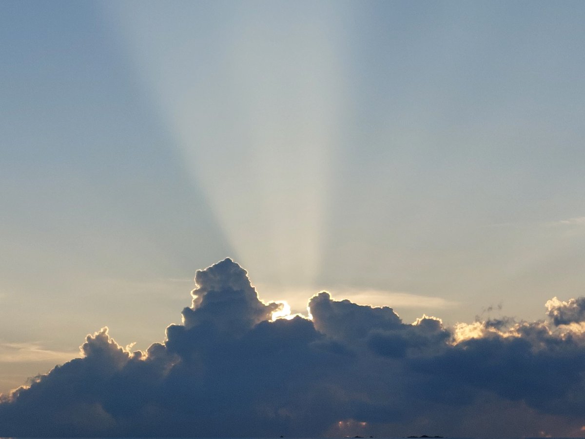 Andrea Borsoi tweet media