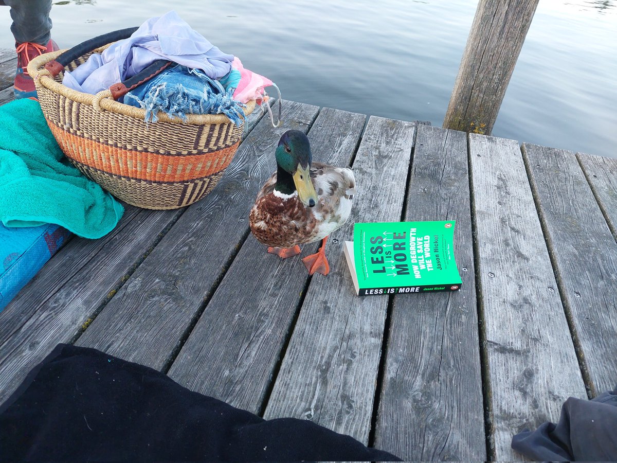 Andrea Borsoi tweet media