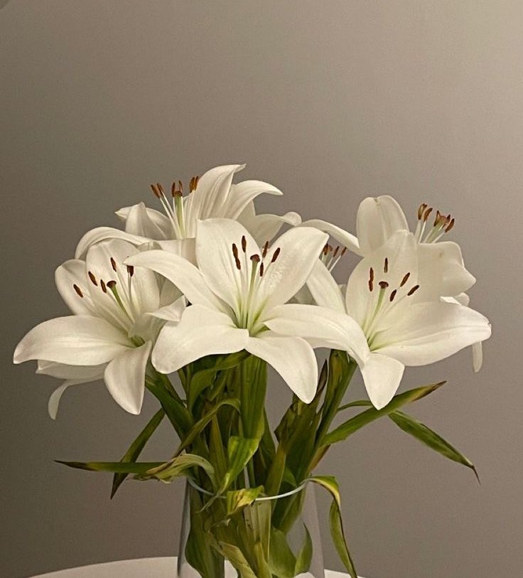 Lilies