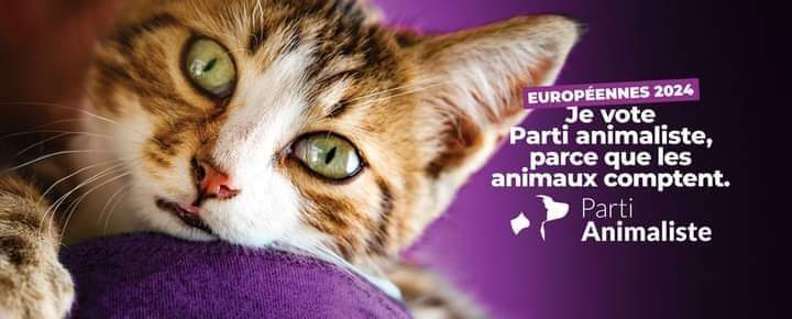 falzone_v's tweet photo. https://t.co/uttdSmZ31v