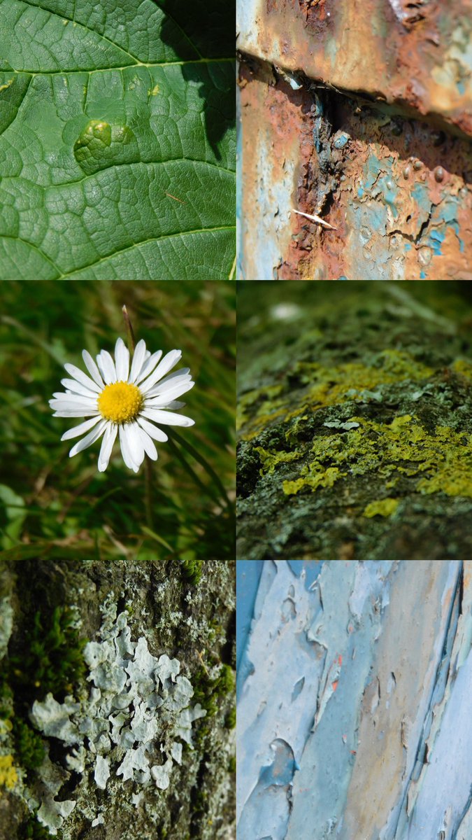 Miss Lang tweet media