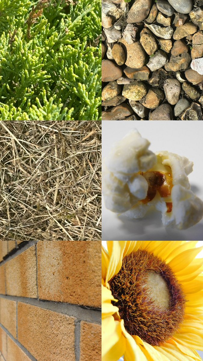 Miss Lang tweet media