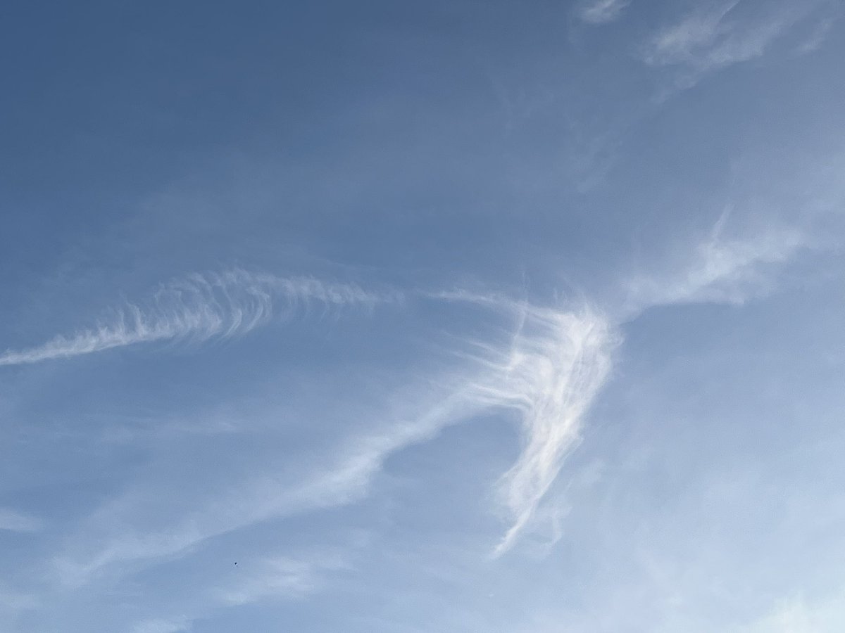 JasonWills16's tweet photo. @BBCSpringwatch  gull cloud ?? https://t.co/YJNXvIz5zz