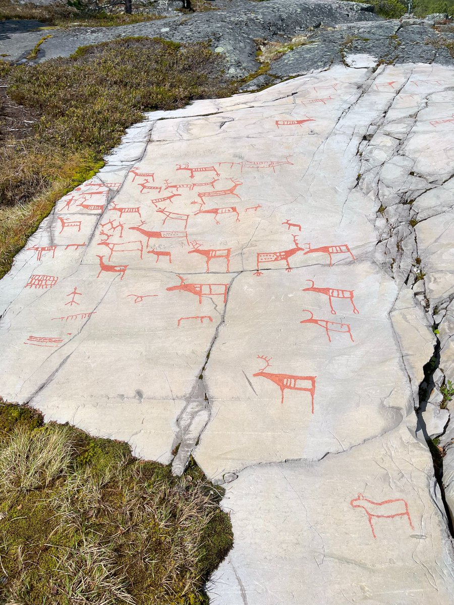 g_fiske's tweet photo. We spent an extraordinary 3 days earlier this week with @ReindeerHerding colleagues and Sami reindeer herders in northern Norway.  Is it possible that maps could help communicate the information needed to make wise decisions for the future of reindeer husbandry? https://t.co/w6RFgaUEhr