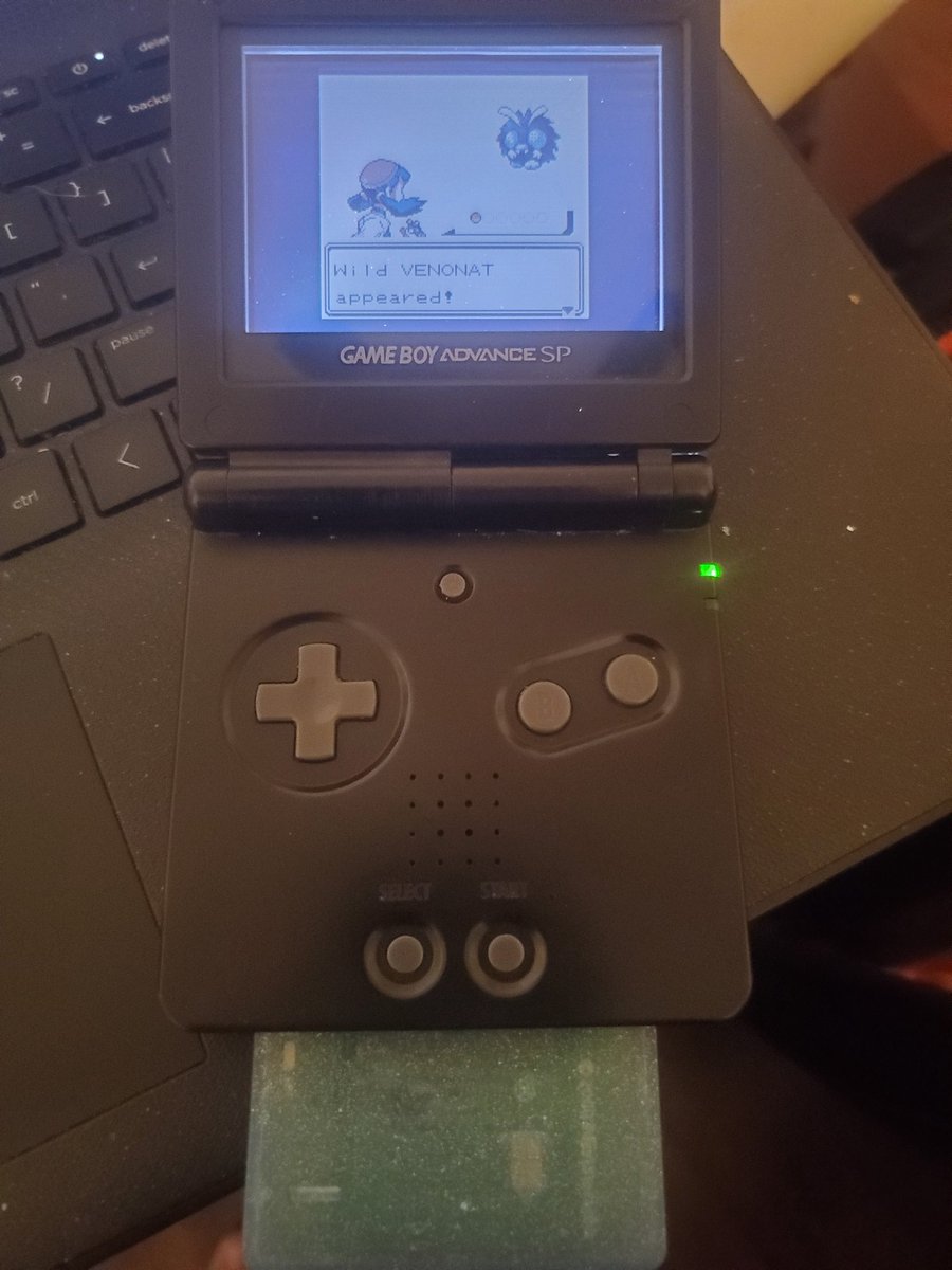 ExhaustedAust's tweet photo. around 8900 encounters, about 150 contests. naming him blueberry after the berry consolation prize for not placing in the contest. 5th full odds shiny in crystal, and it's one of my favorite mons! https://t.co/865HiCkpxh