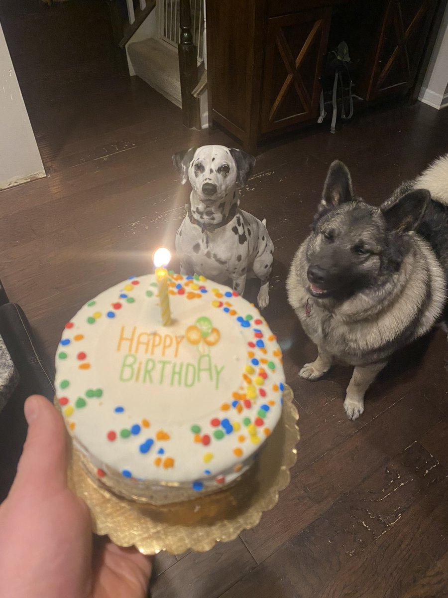 theDiddler75's tweet image. #stanleypup