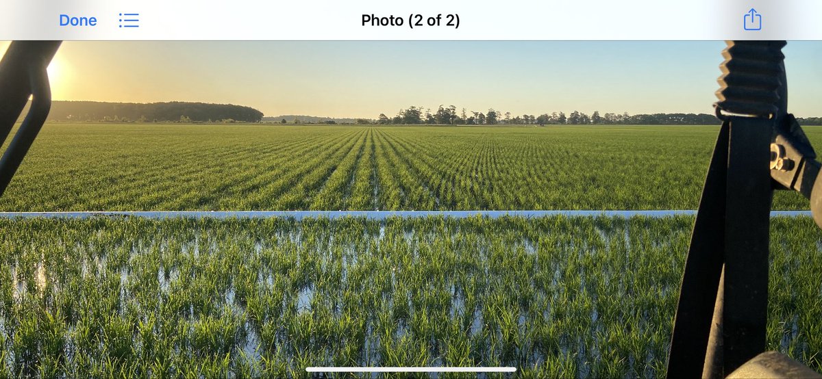 Thought it made for a decent pic the other morning.