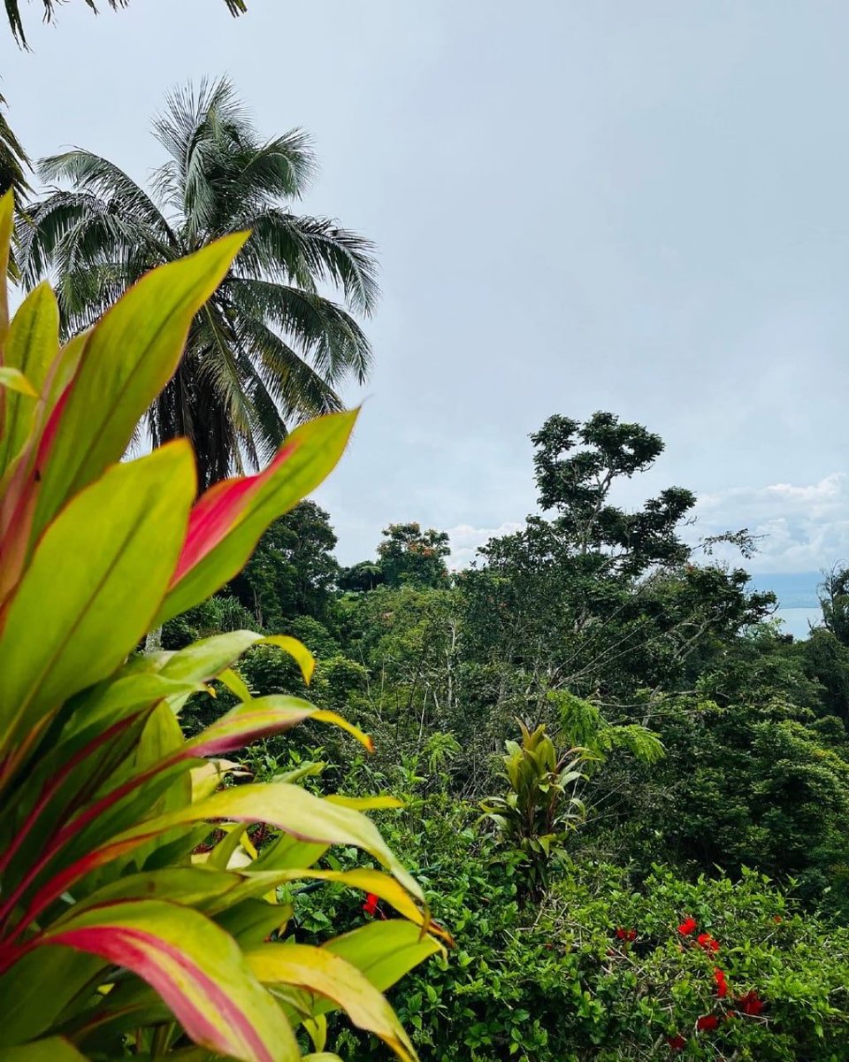 ruby97597's tweet image. Persist in doing simple things well, persist in doing ordinary things well. The so-called success is to make extraordinary persistence in ordinary things.