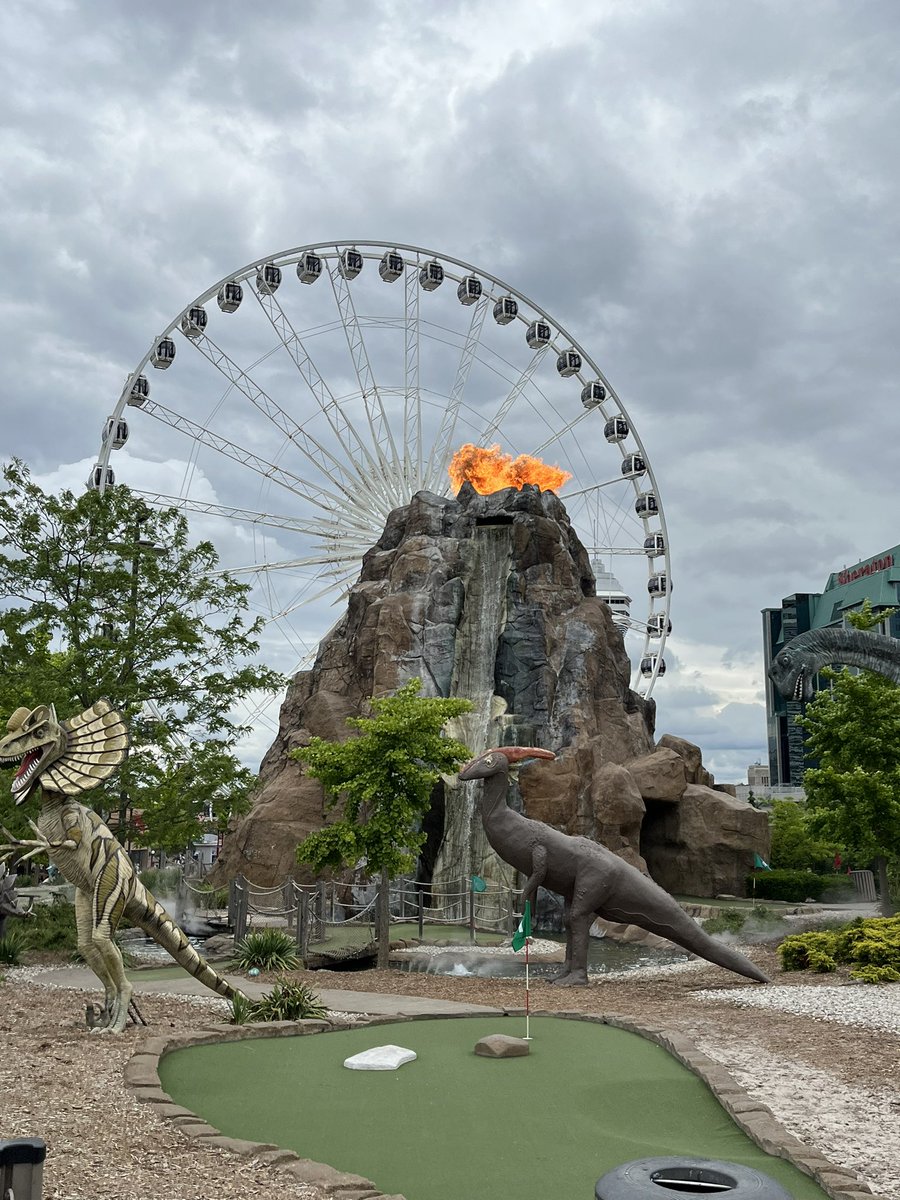 Holy Rosary, Milton tweet media