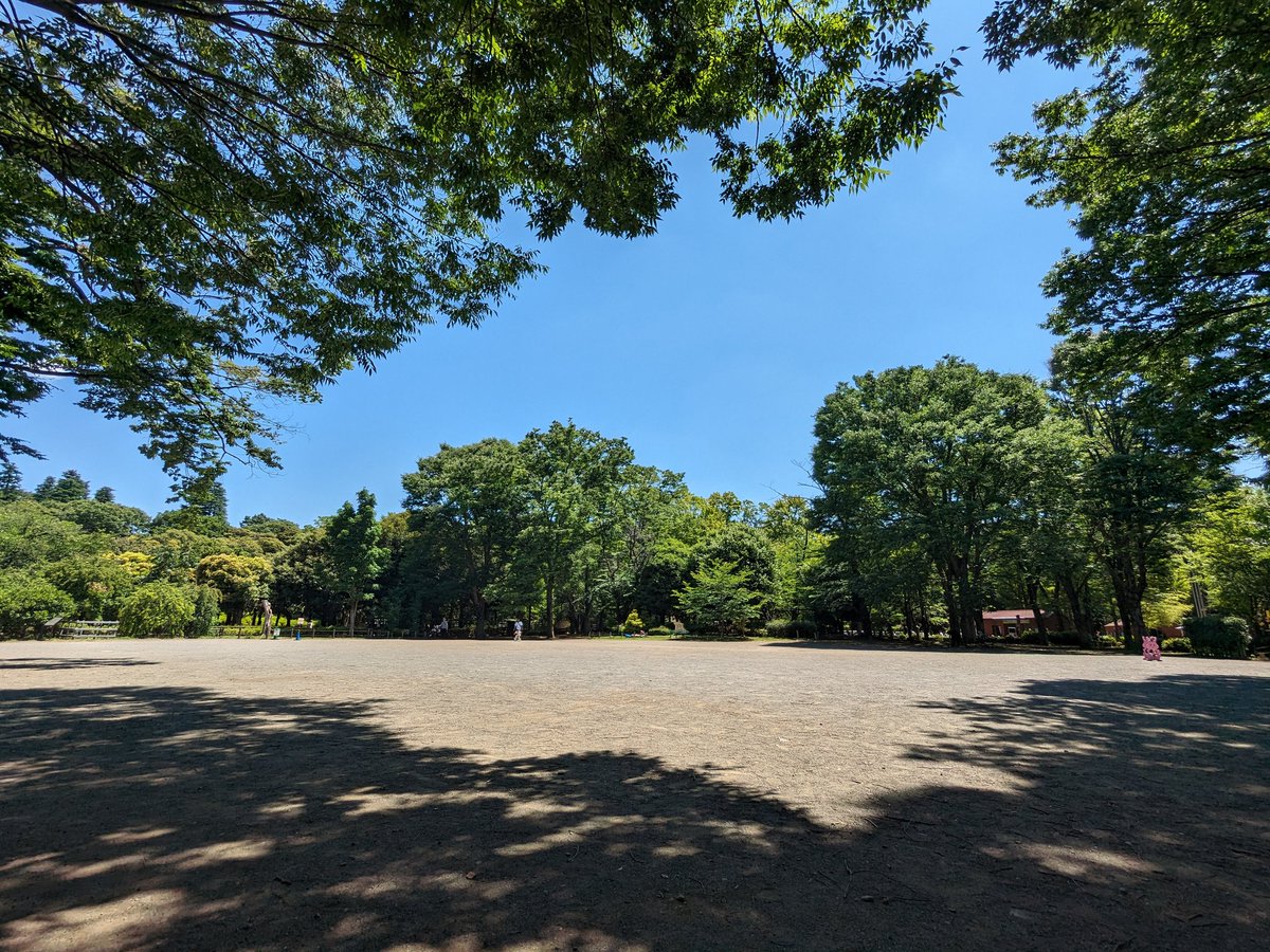 bluexreflection's tweet photo. いい天気だ
Pixel 6a 16mm https://t.co/ye3GKeJawC
