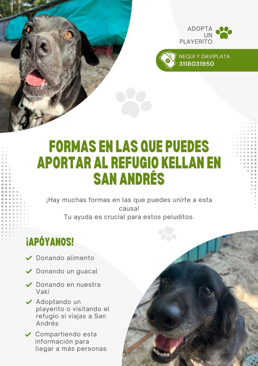 bar_kella's tweet photo. Buenas noches amigos, hace menos de un año nuestro refugio se inundó y no tuvimos cómo evacuar a los animalitos. Este año la temporada de huracanes se adelantó y estamos preocupados por su seguridad. Por favor ayudamos a recolectar guacales. Aquí les dejo toda la información. 👇🏻 https://t.co/eLpaLhXGx5