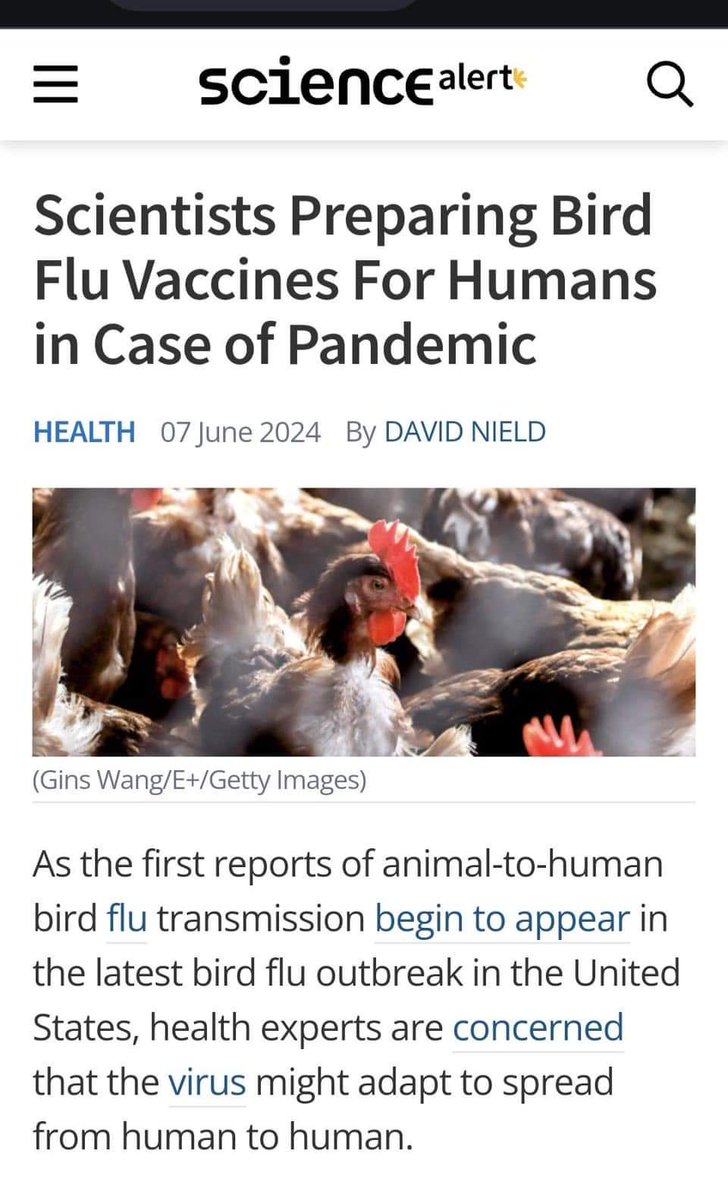 🎹 Ames™ 🎹 tweet media