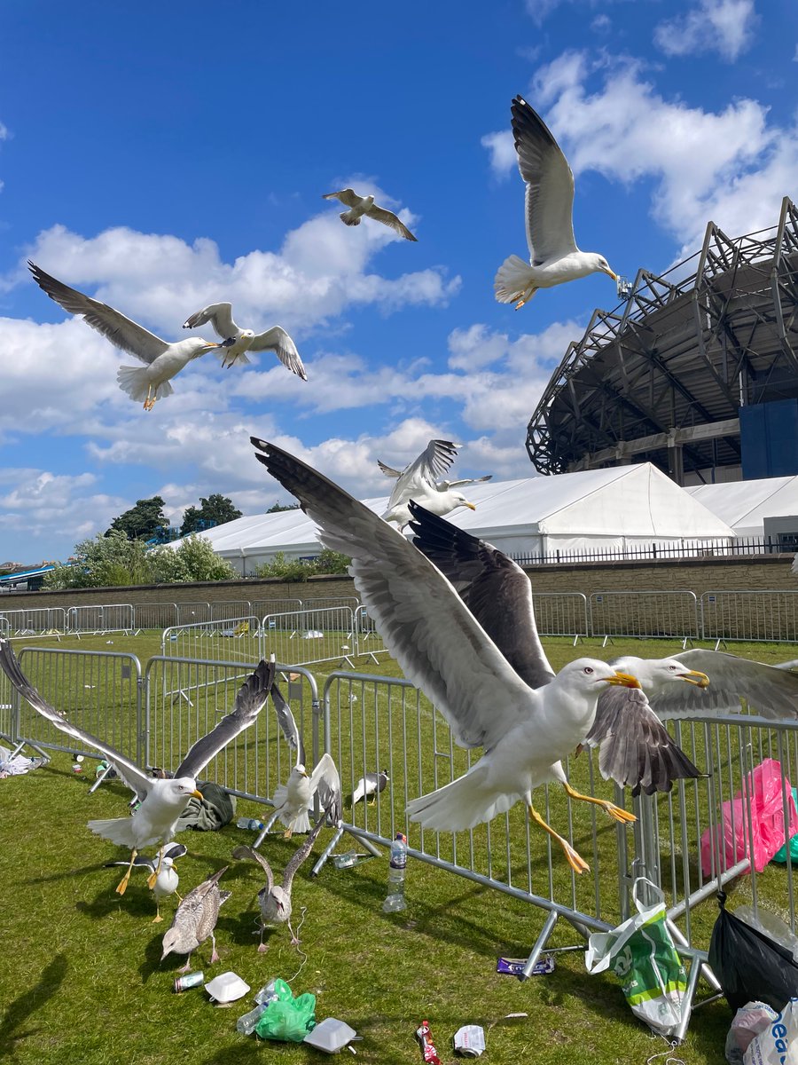 1989 (Taylor’s Version) #EdinburghTStheErasTour