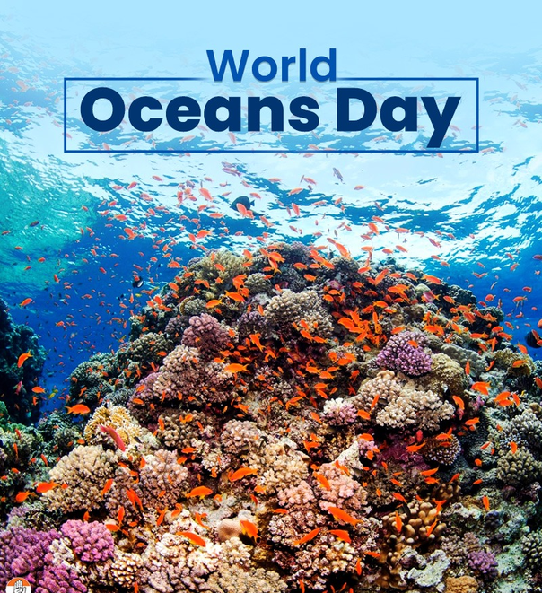 Bright Star⭐️ tweet media