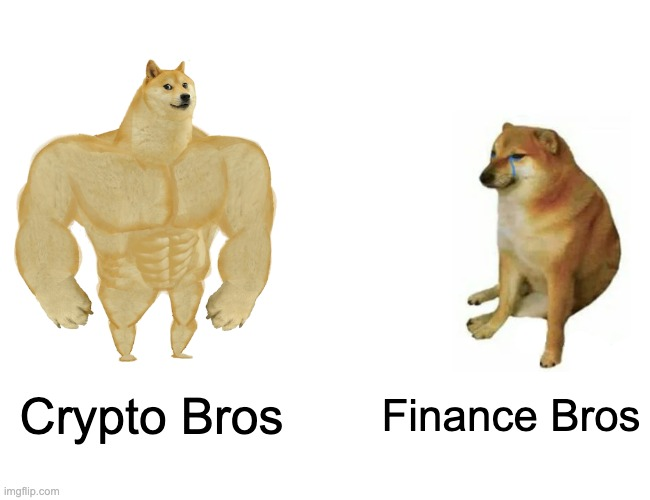 coinweb_3's tweet photo. Another glorious Friday during #MemeCoinMania 😎 https://t.co/ZlzzyvupoV
