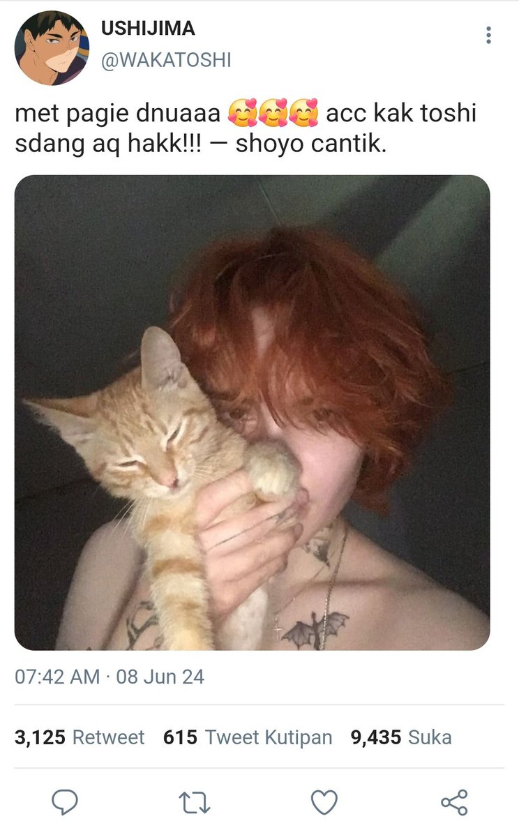 iwriteonce's tweet photo. #ushihina few tweet au

Every centil and bar-bar bf need a calm posessive bf https://t.co/n17fdwahfn