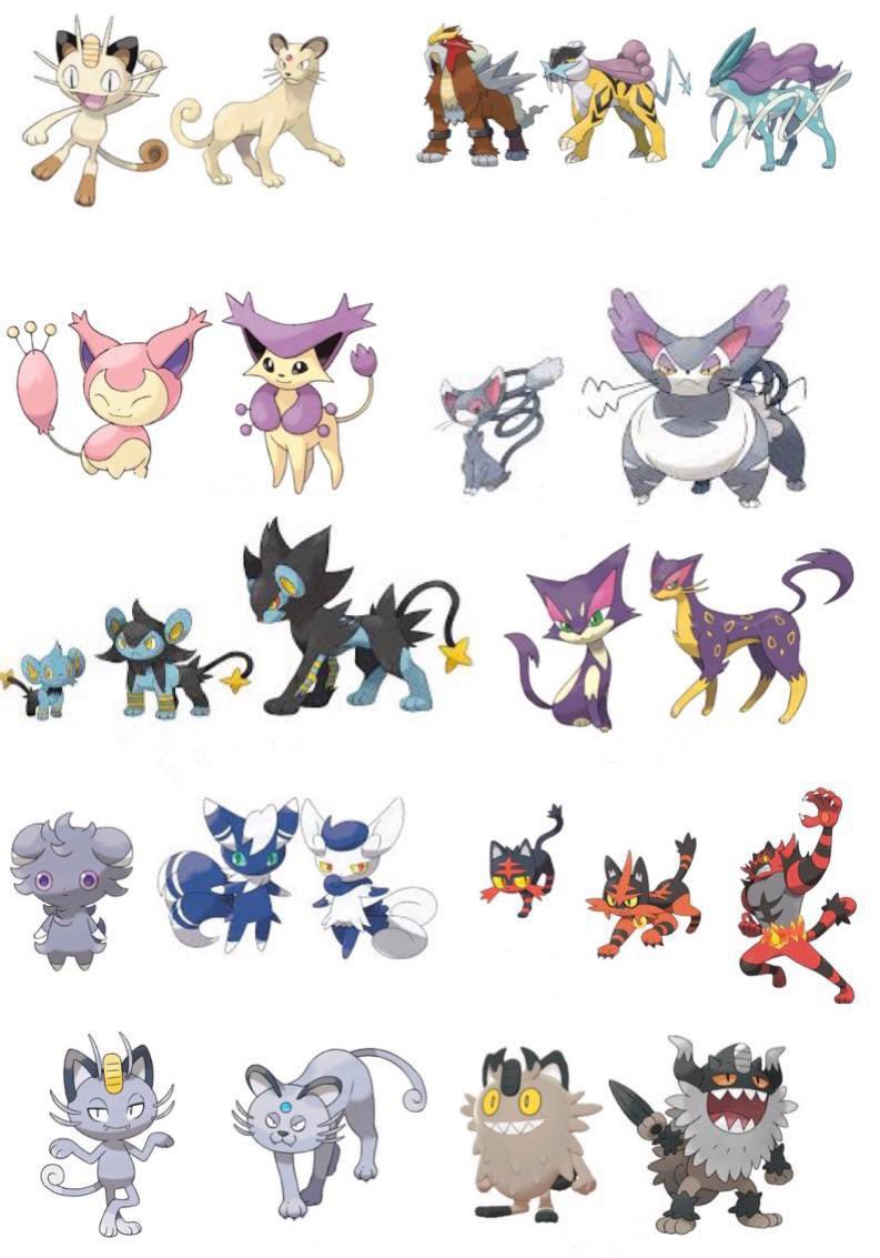 AwesomeAdam tweet media