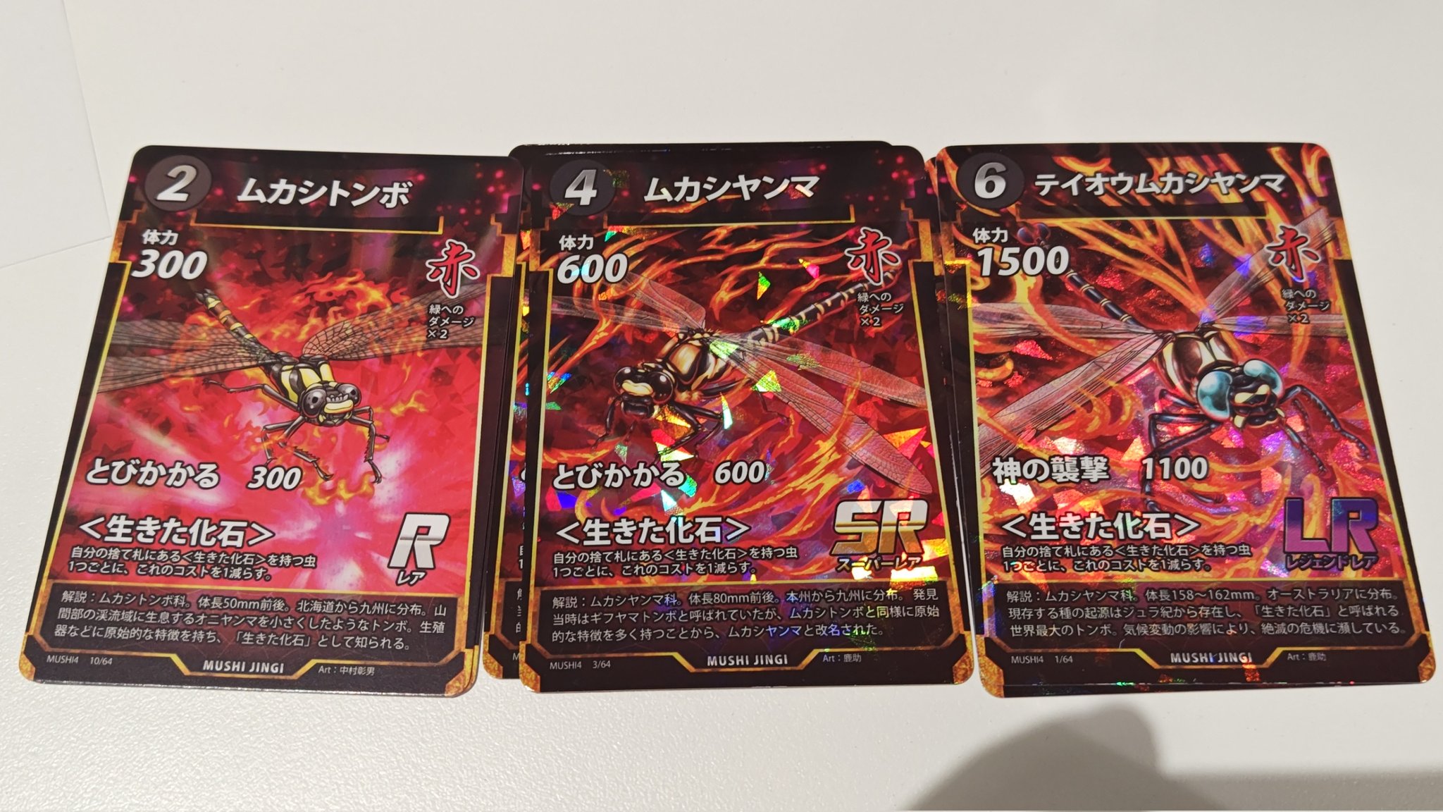 蟲神器　生きた化石3枚セット しん on X: 