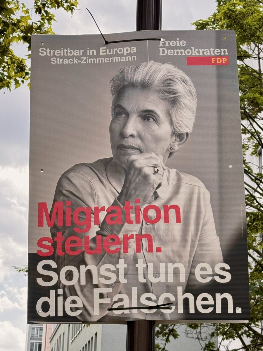 Das machen ja schon seit Jahren die Falschen #migration #fdp #strackzimmermann