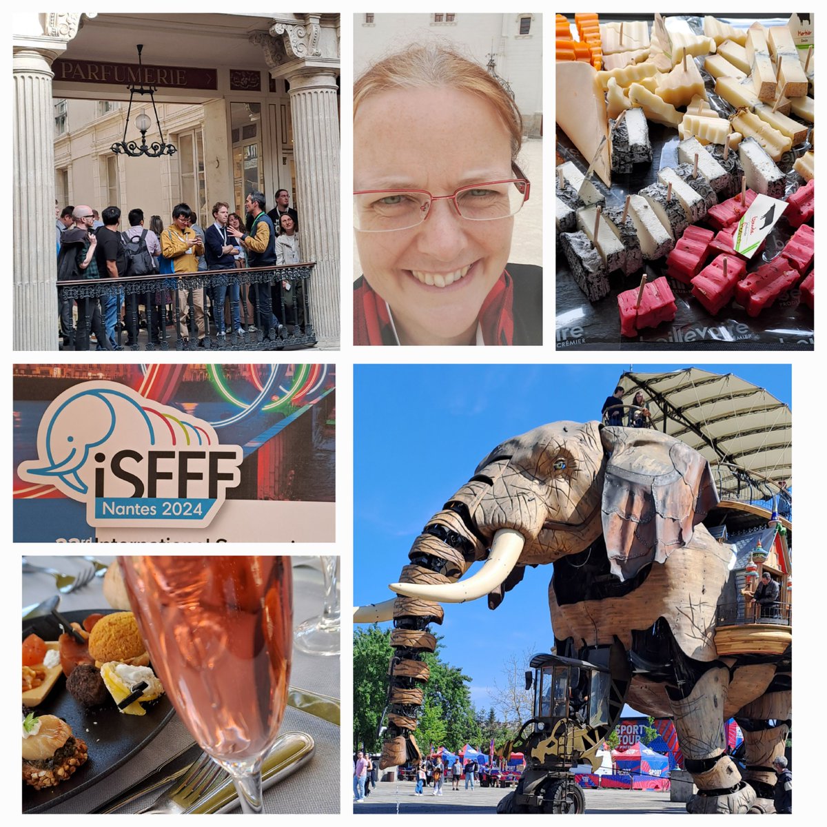 MelissaPoynor's tweet photo. Back from the #iSFFF2024. Great atmosphere with many interesting presentations and networking opportunities with amazing cheese breaks and other French specialties. I felt very much accepted by the #FFF comunity. Oh, and then there was an elephant. https://t.co/ONLWllWWFH