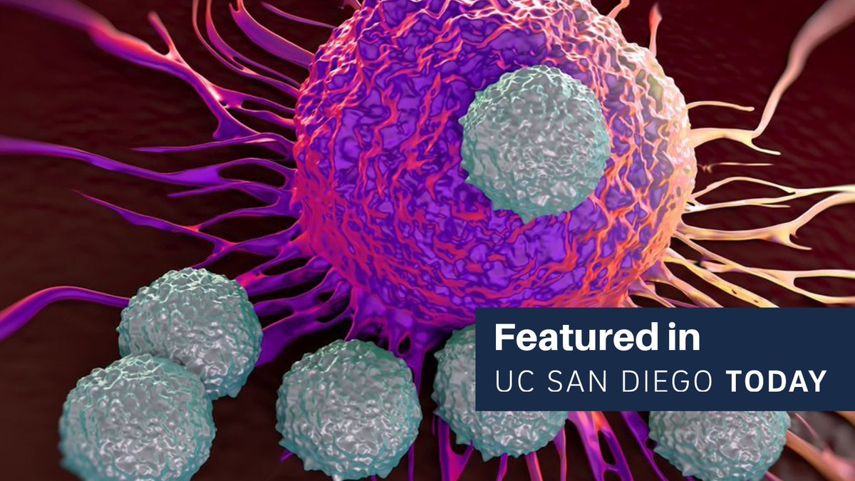 UC San Diego Health is the first hospital system in the region to offer a new immunotherapy treatment for metastatic melanoma, the first solid tumor therapy on the market approved by the FDA. Learn more at today.ucsd.edu/story/uc-san-d….