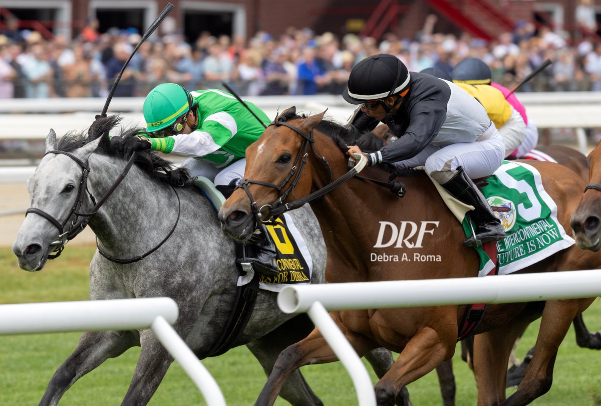 DailyRacingForm's tweet photo. A couple great looks at FUTURE IS NOW ($22.80) winning the The Grade 2 Intercontinental Stakes at Saratoga. 

📷 Julie Wright @reddogcw
📷 Barbara D. Livingston @DRFLivingston
📷 Debra A. Roma @NYdroma https://t.co/RNNu7zECpL