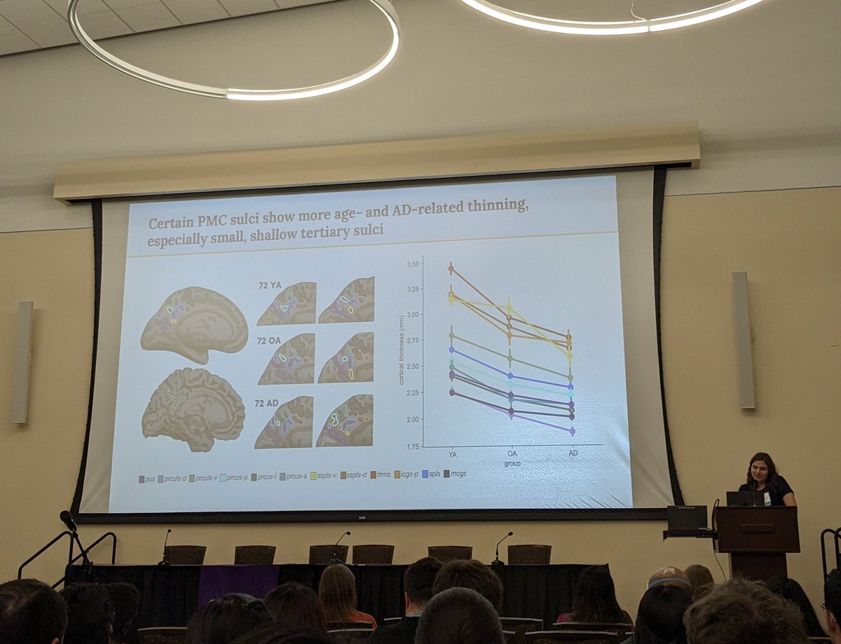 Jacob Ziontz (@neuroziontz) on Twitter photo Congratulations to Young Investigator Award winners @CorrinaFonseca and <a href="/sciencesamira/">Samira Maboudian 🧠</a> on excellent talks summarizing their work! Congratulations to Young Investigator Award winners @CorrinaFonseca and <a href="/sciencesamira/">Samira Maboudian 🧠</a> on excellent talks summarizing their work!