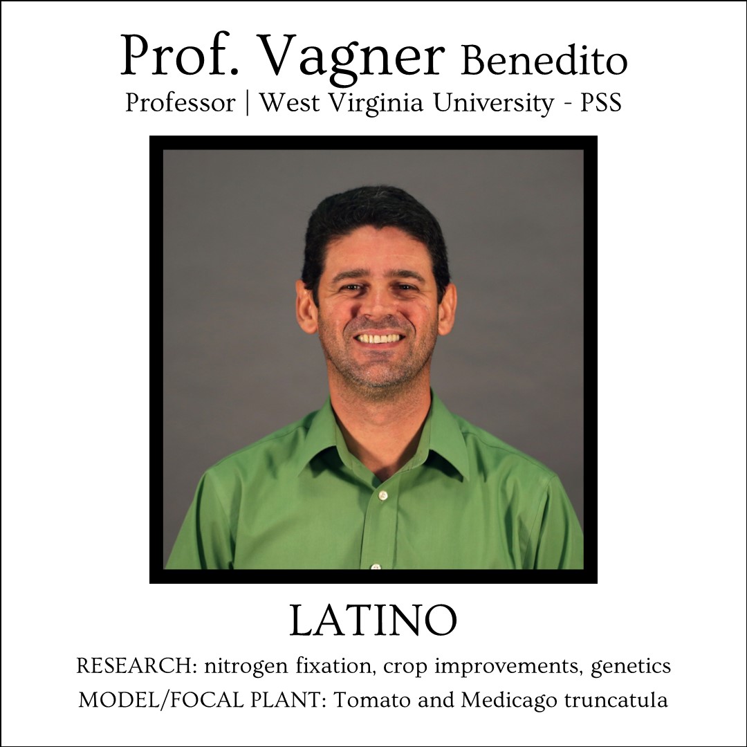 Front and Center Plant Science is proud to feature Dr. Vagner Benedito, a professor of biochemical genetics and plant physiology at West Virginia University. Prof. Benedito uses biological models to study how genes contribute to the development of traits of agronomical importance
