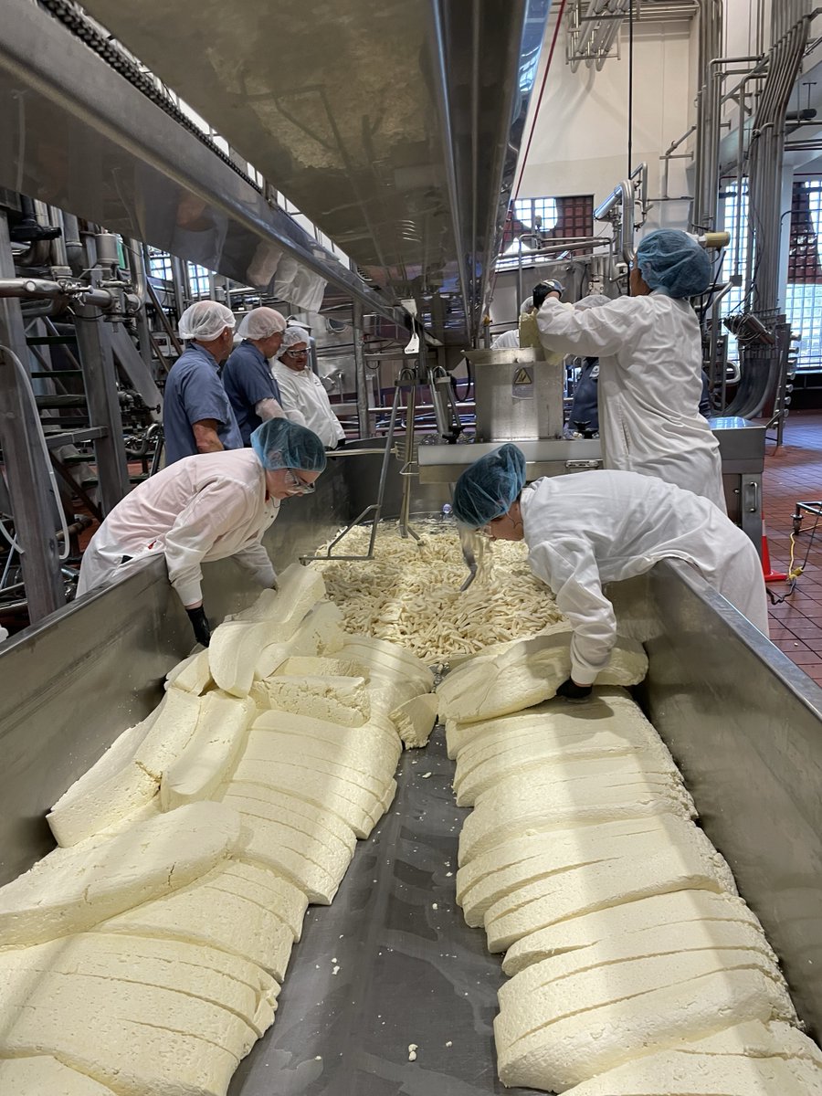 OSUAgSci's tweet image. Our collaboration with @TillamookDairy was a huge success!

Our students had the incredible opportunity to visit Tillamook's state-of-the-art facilities &amp;amp; get hands-on experience in the art of cheese-making. A big thank you to Tillamook for hosting us!

#AgSci #BeaverClassic