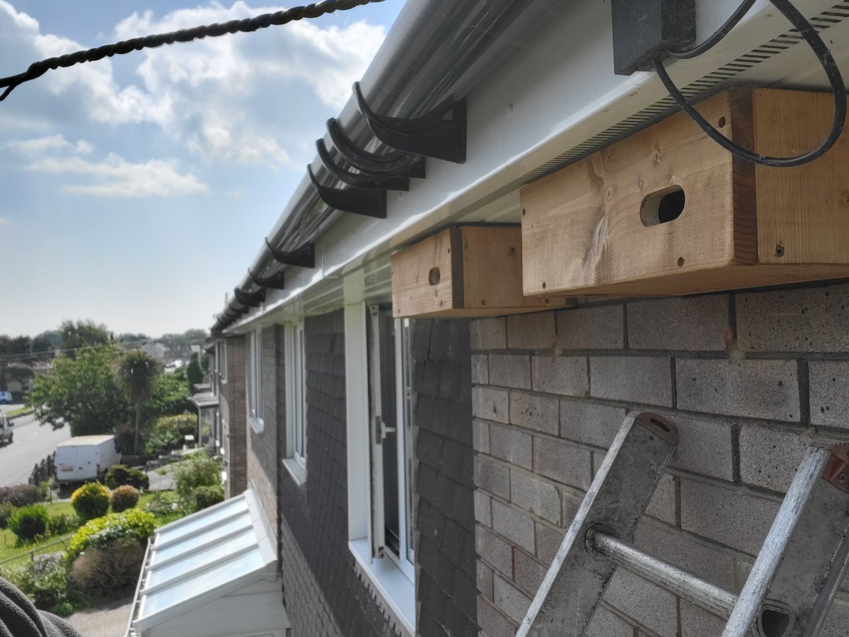 pilts1974's tweet photo. I fitted Deal's newest Swift boxes this morning for a lovely lady and helped add to the Friends of Betteshanger GoFund page. What's not to like π
#DealSwifts #Savebetteshanger https://t.co/jZNY9KLyPN