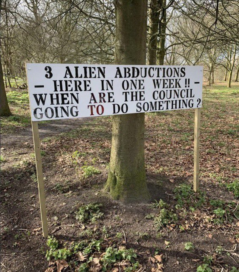 Meanwhile in Avenham