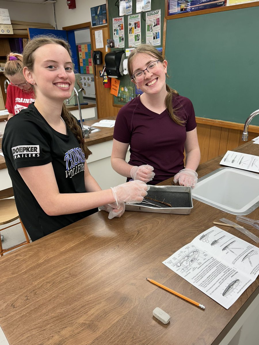 Annaheim School tweet media