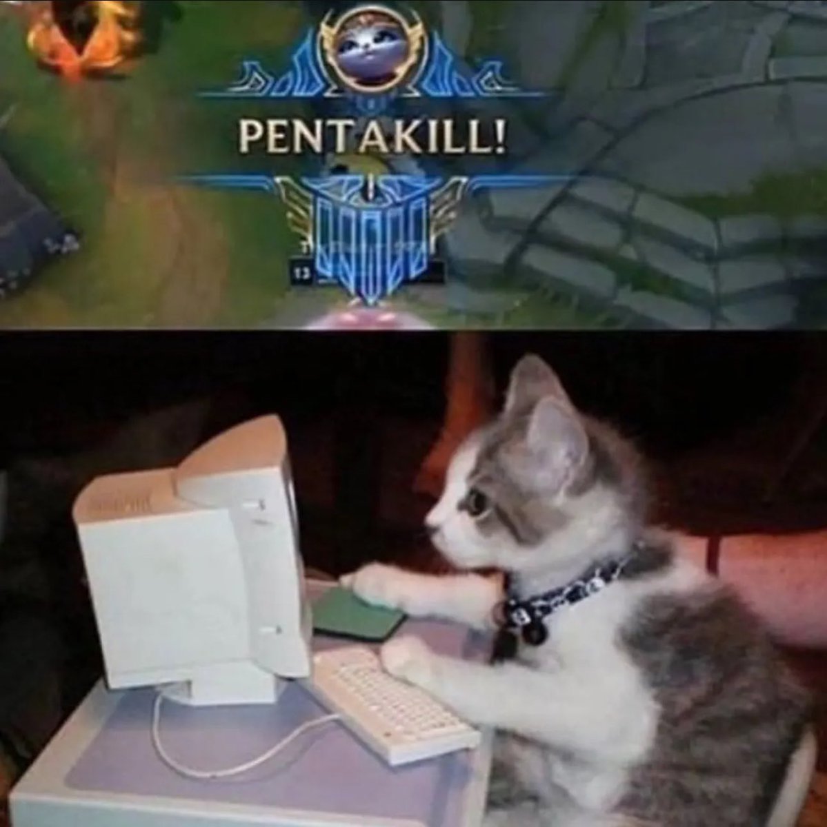 1v9.GG (@1v9gg_) on Twitter photo 