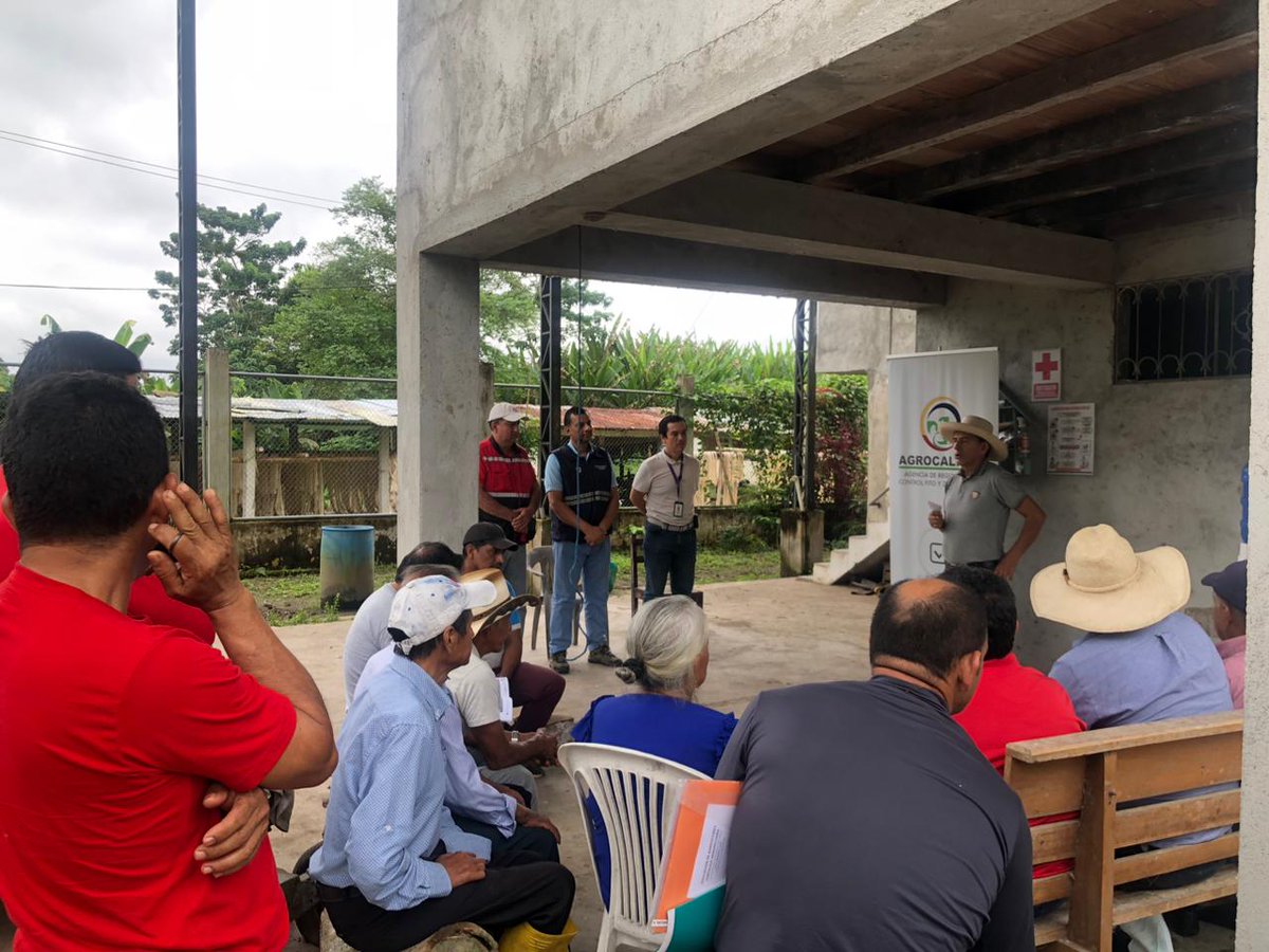 AgrocalidadZ4's tweet photo. #SantoDomingo | Conmemoramos el día internacional de Inocuidad de los Alimentos, capacitando a productores en inocuidad de alimentos e implementación de #BuenasPrácticas Agrícolas.
#DMIA24 https://t.co/3eK8fsoJhH