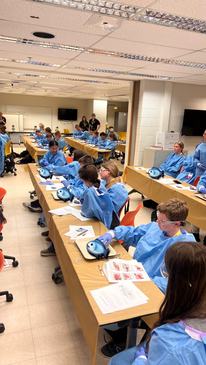 BoilerVetCamp's tweet photo. #teampig had a great time at the fish dissection today!#todayscatch https://t.co/4RsFWcx6uX